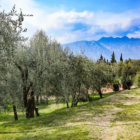 Kormorano Lake View Apartman *