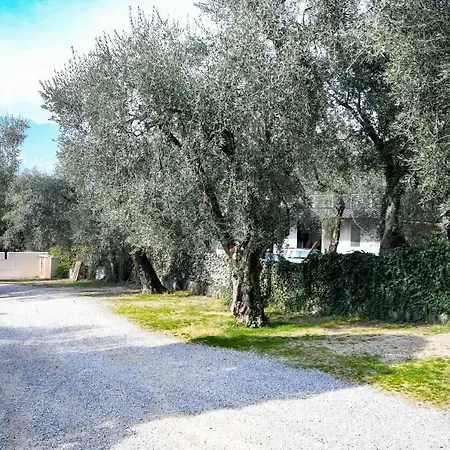 Kormorano Lake View
